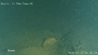 Inspection sous-marine